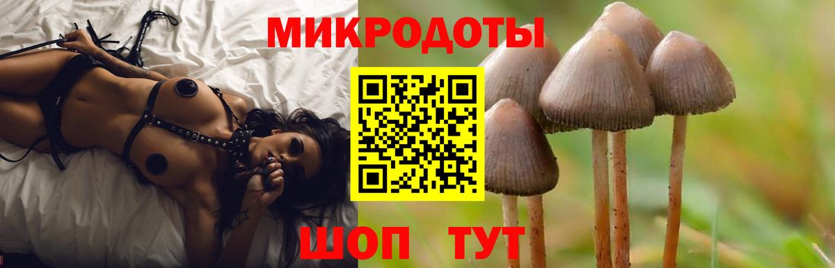 Псилоцибиновые грибы Cubensis  Галлюциногенные грибы Magic Shrooms  Сосновый Бор  Вход с VPN 